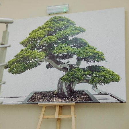 Hotel Bonsai 니엠차 외부 사진