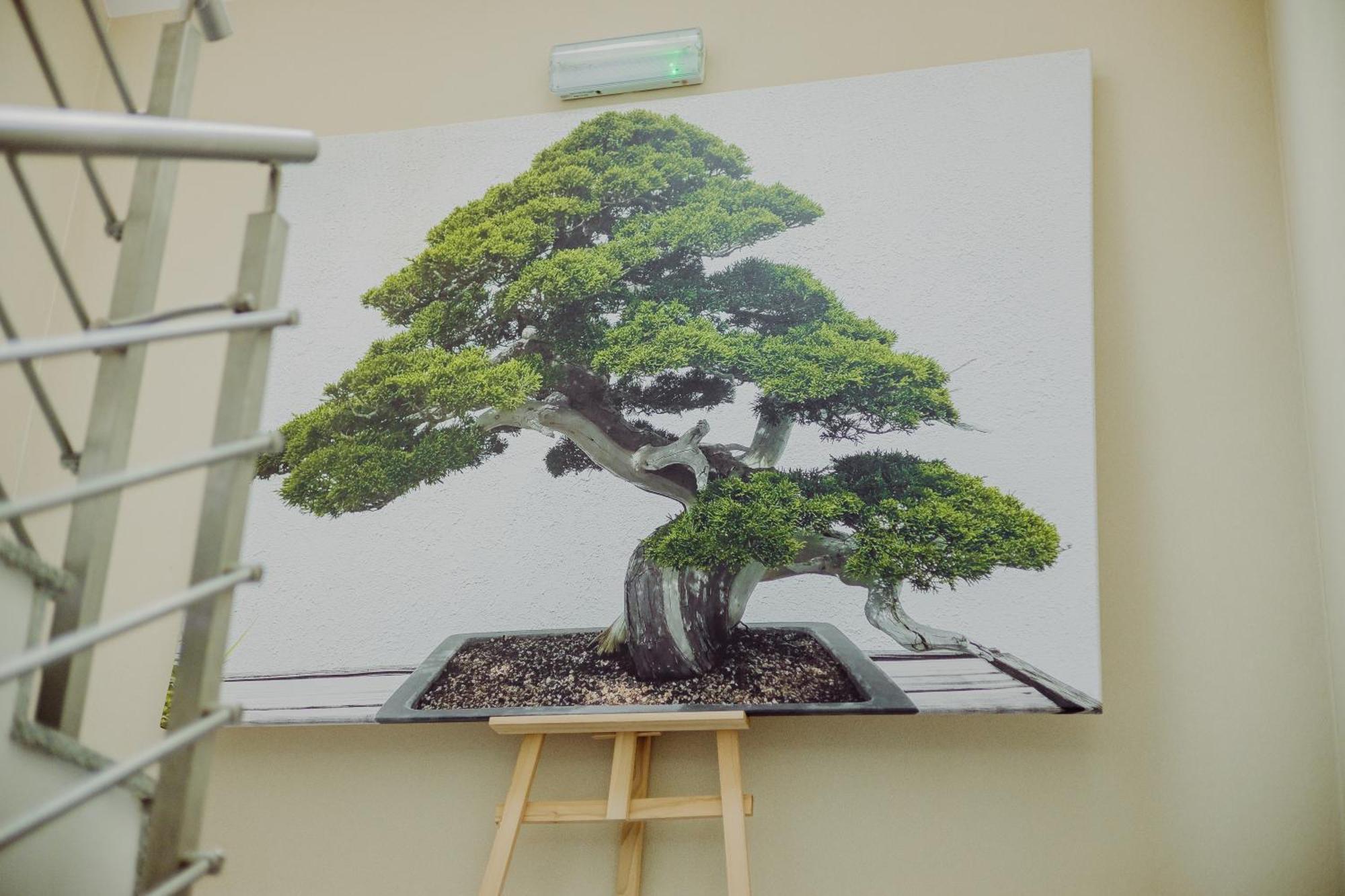 Hotel Bonsai 니엠차 외부 사진