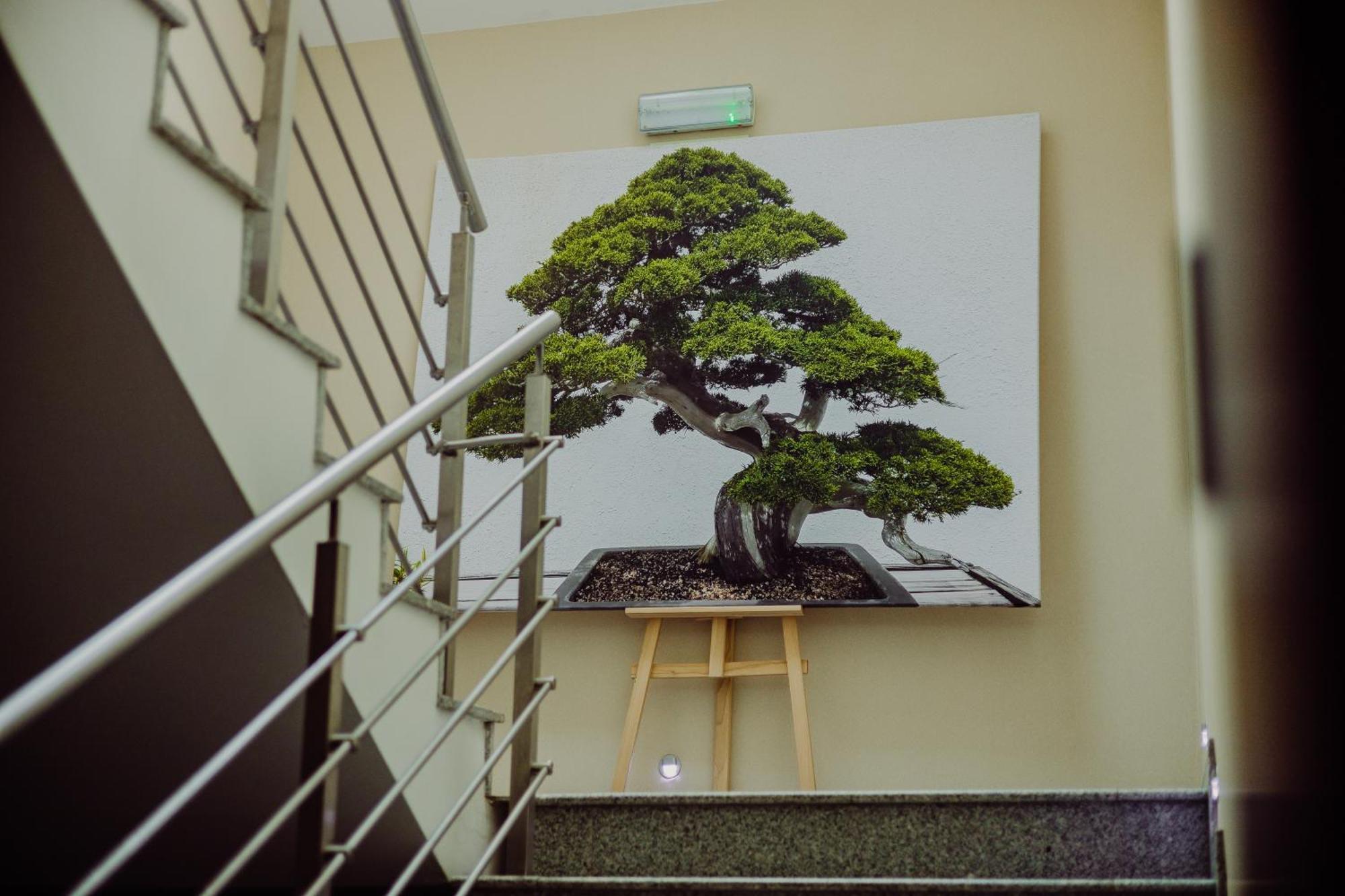 Hotel Bonsai 니엠차 외부 사진