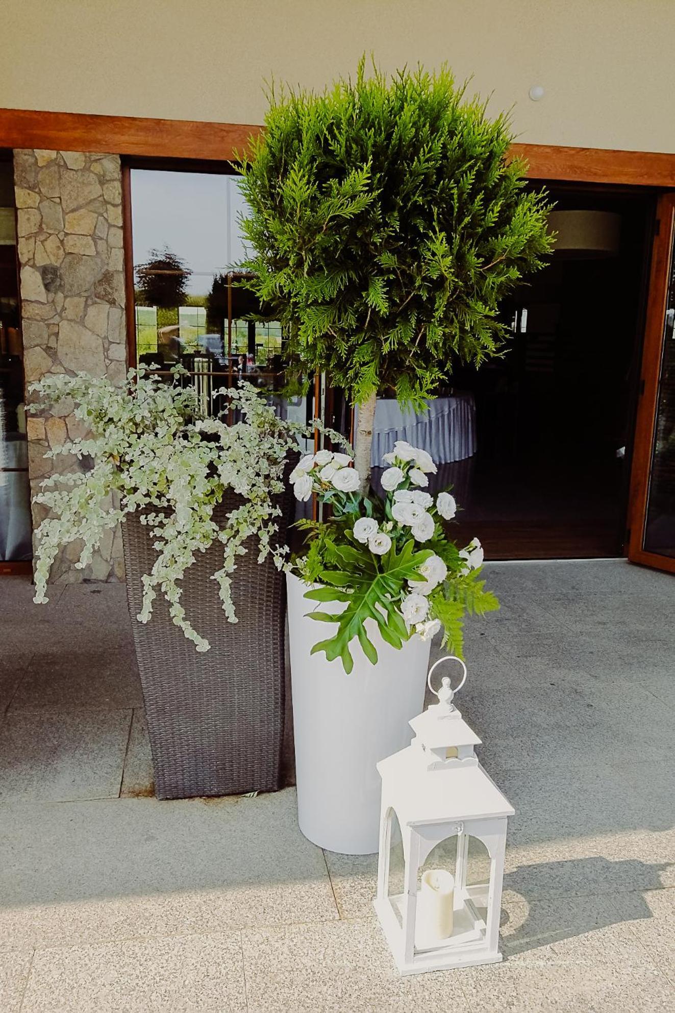 Hotel Bonsai 니엠차 외부 사진